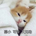 好天气
