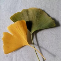 易寒的书籍思维导图