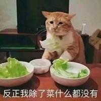 教资上岸