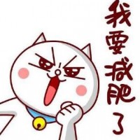 减肥打卡小组