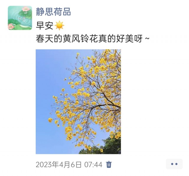 胡楚琪2023年的早安朋友圈合集img_20250228_095825.jpg