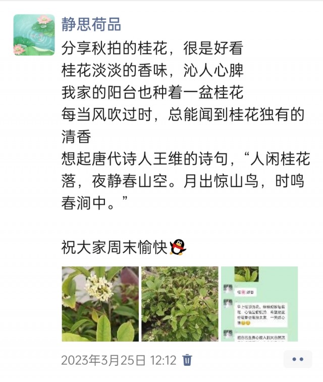 胡楚琪2023年的早安朋友圈合集img_20250228_094859.jpg