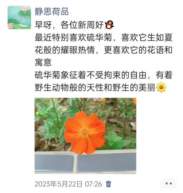 胡楚琪2023年的早安朋友圈合集img_20250228_104713.jpg