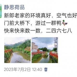 胡楚琪2023年的早安朋友圈合集img_20250228_111519.jpg