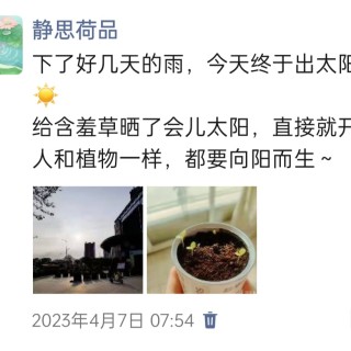 胡楚琪2023年的早安朋友圈合集img_20250228_095835.jpg