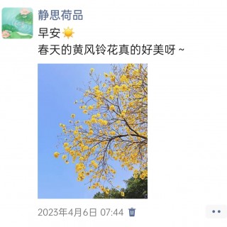 胡楚琪2023年的早安朋友圈合集img_20250228_095825.jpg
