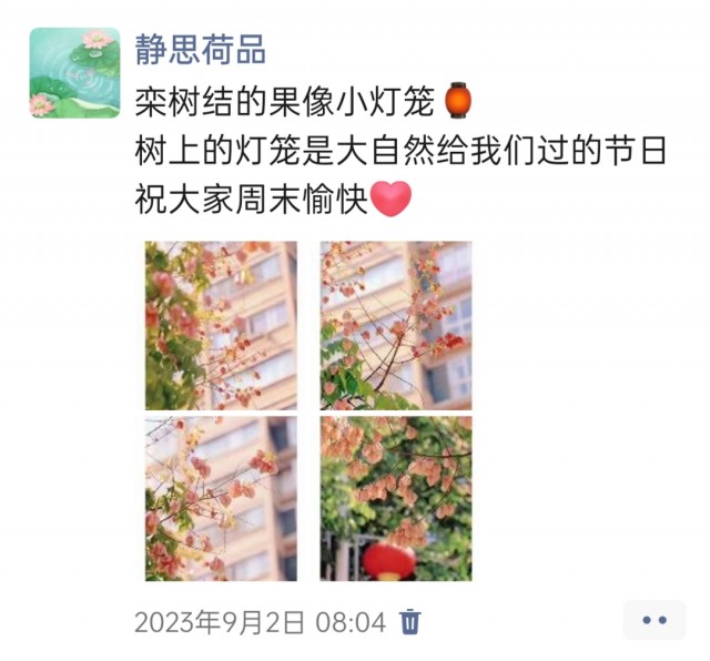胡楚琪2023年的早安朋友圈合集img_20250228_155721.jpg