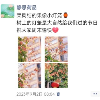 胡楚琪2023年的早安朋友圈合集img_20250228_155721.jpg