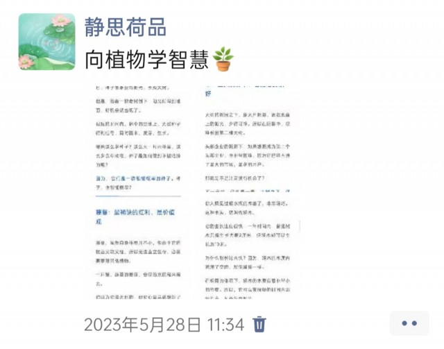 胡楚琪2023年的早安朋友圈合集img_20250228_104801.jpg