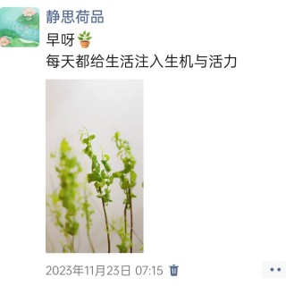 胡楚琪2023年的早安朋友圈合集img_20250301_142622.jpg