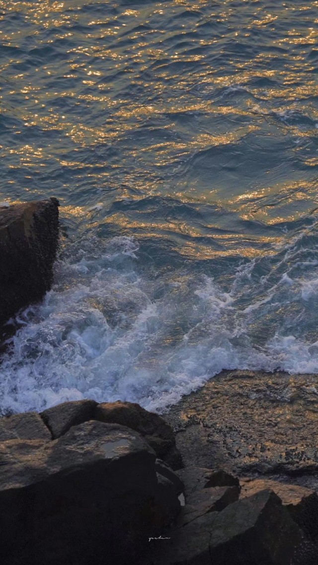 是海1598539154634.jpeg