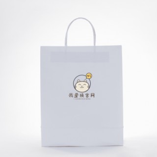 网站logo&周边纸袋.png
