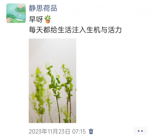 胡楚琪2023年的早安朋友圈合集img_20250301_142622.jpg