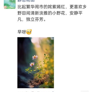 胡楚琪2023年的早安朋友圈合集img_20250228_110151.jpg