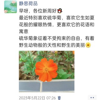 胡楚琪2023年的早安朋友圈合集img_20250228_104713.jpg