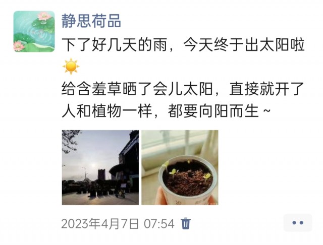 胡楚琪2023年的早安朋友圈合集img_20250228_095835.jpg