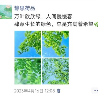胡楚琪2023年的早安朋友圈合集img_20250228_100929.jpg