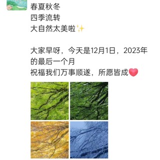 胡楚琪2023年的早安朋友圈合集img_20250301_142717.jpg