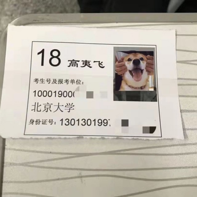 软微圣经