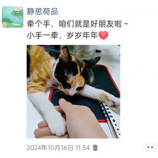 公司的小猫们img_20250306_095231.jpg