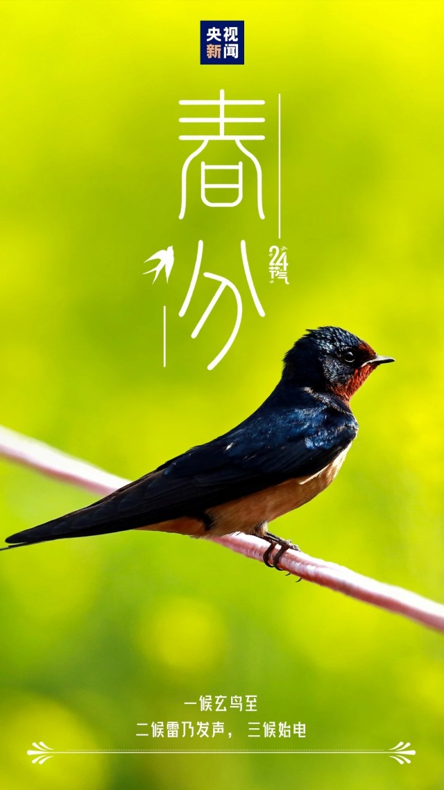 胡楚琪2025年的早安朋友圈合集mmexport1742430743723.jpg