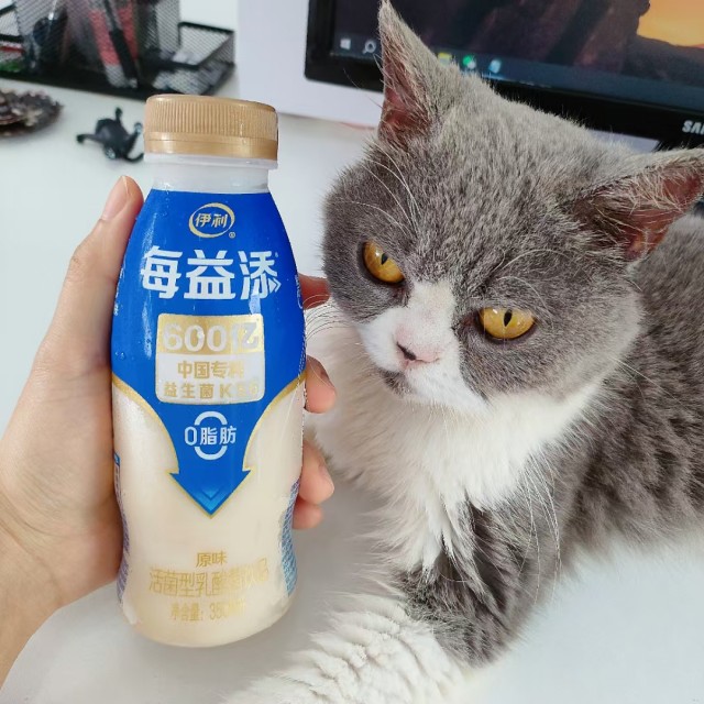 公司的小猫们mmexport1747303925194.jpg
