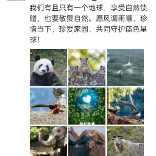 胡楚琪2024年的早安朋友圈合集img_20250303_160417.jpg