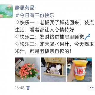公司的小猫们img_20250422_165459.jpg
