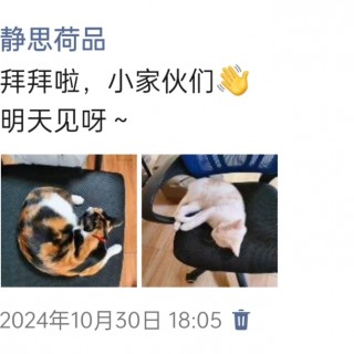 公司的小猫们img_20250306_095320.jpg