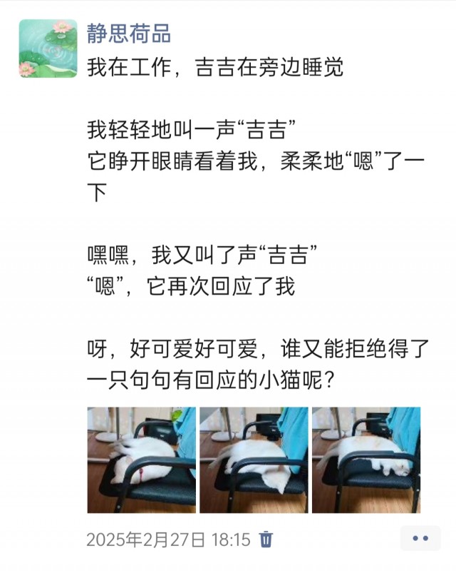 公司的小猫们img_20250306_143658.jpg