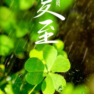 胡楚琪2025年的早安朋友圈合集mmexport1751212816747.jpg