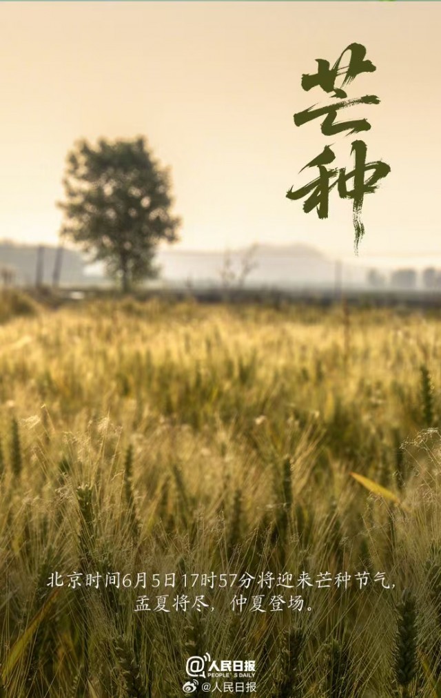 胡楚琪2025年的早安朋友圈合集mmexport1749458062411.jpg