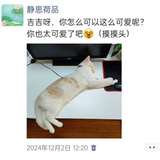 公司的小猫们img_20250306_105513.jpg