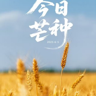 胡楚琪2025年的早安朋友圈合集mmexport1749458071573.jpg