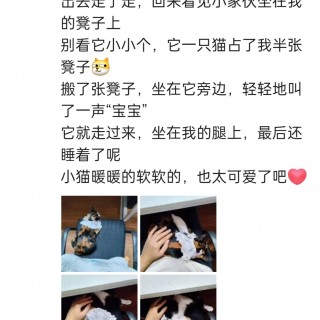 公司的小猫们img_20250306_102614.jpg