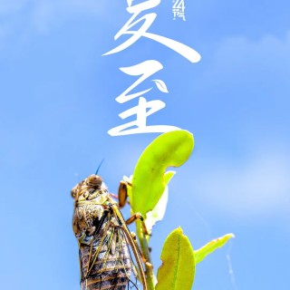 胡楚琪2025年的早安朋友圈合集mmexport1751212812648.jpg