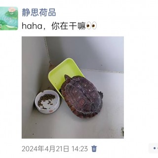 胡楚琪2024年的早安朋友圈合集img_20250303_160356.jpg