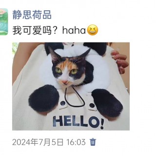 公司的小猫们img_20250305_171152.jpg