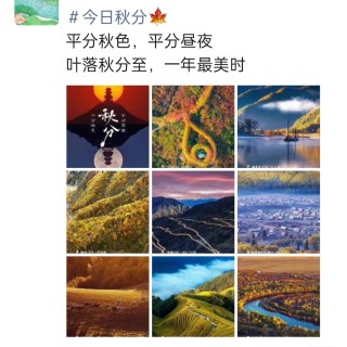 胡楚琪2024年的早安朋友圈合集img_20250304_115156.jpg