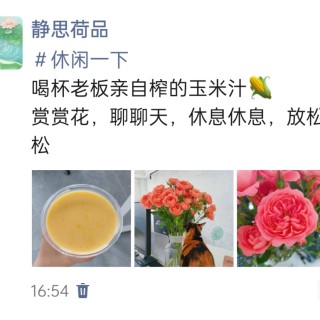 公司的小猫们img_20250427_170150.jpg