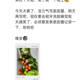 2025年发的与站长有关的朋友圈img_20250529_103000.jpg