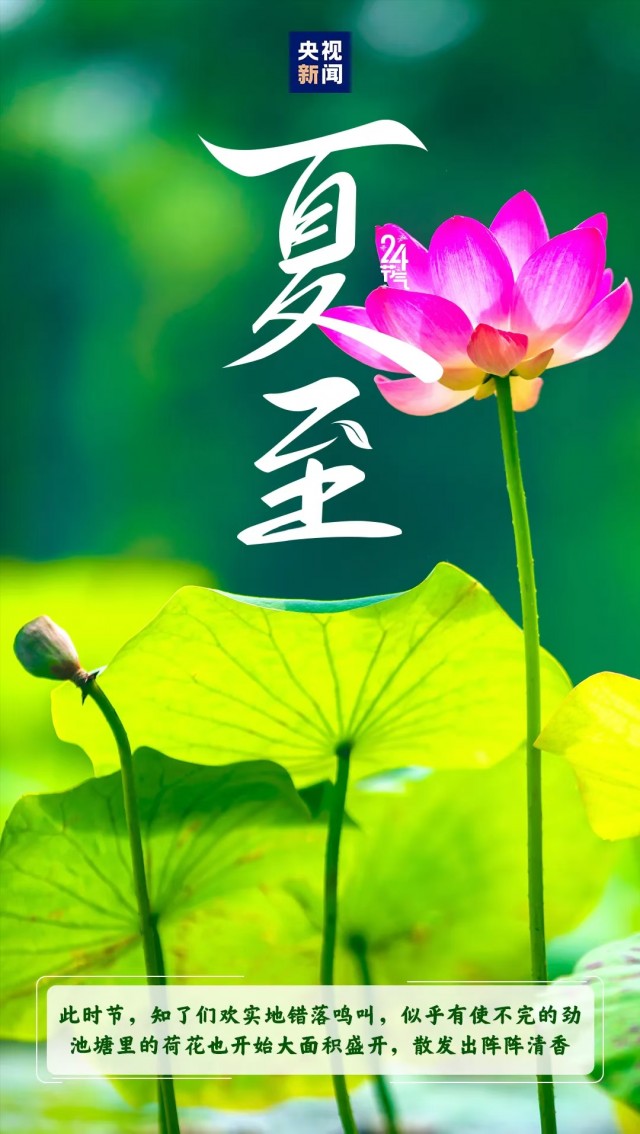 胡楚琪2025年的早安朋友圈合集mmexport1751212814695.jpg