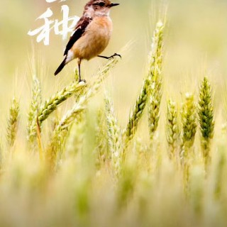 胡楚琪2025年的早安朋友圈合集mmexport1749458067348.jpg