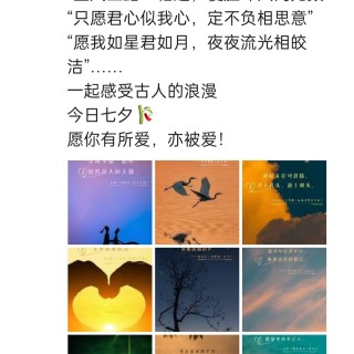 胡楚琪2024年的早安朋友圈合集img_20250304_103547.jpg