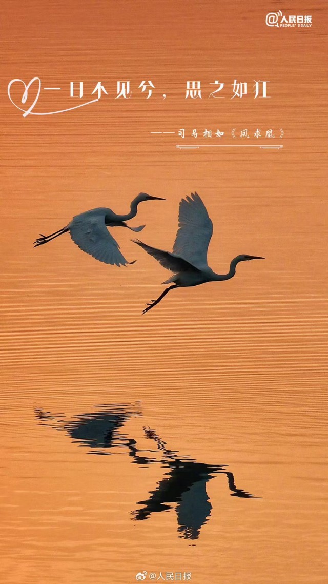胡楚琪2024年的早安朋友圈合集mmexport1741054623434.jpg