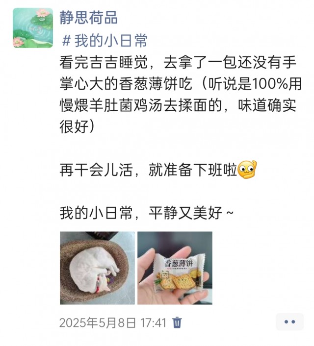 公司的小猫们img_20250515_181401.jpg