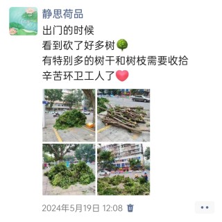 胡楚琪2024年的早安朋友圈合集img_20250303_164238.jpg