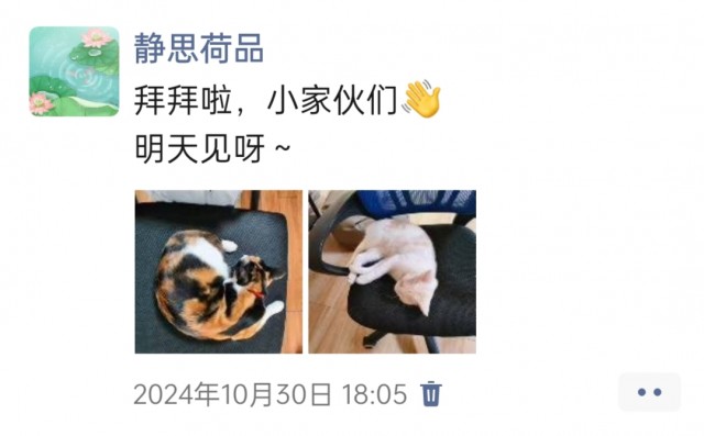 公司的小猫们img_20250306_095320.jpg