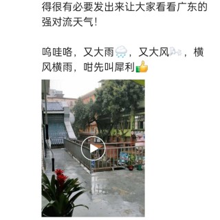 2025年发的与站长有关的朋友圈img_20250424_132054.jpg