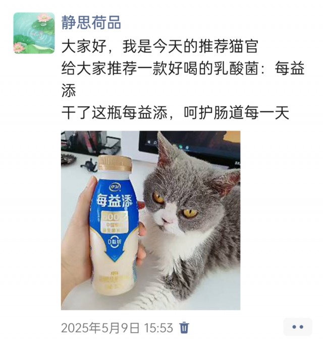 公司的小猫们img_20250515_181448.jpg